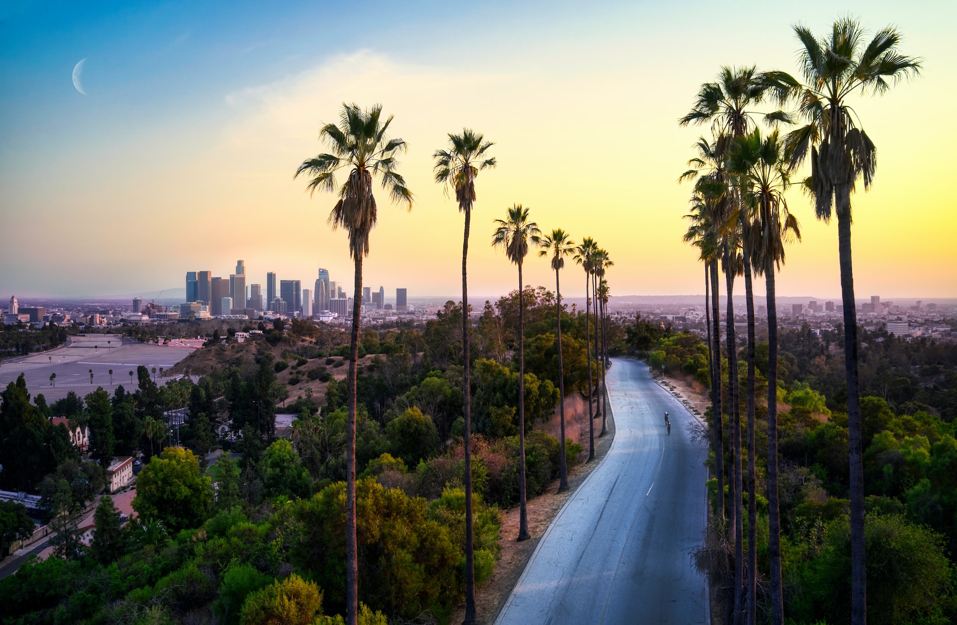 Los Angeles behind palm trees